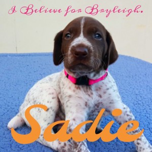 sadie4thannualb4bpuppy